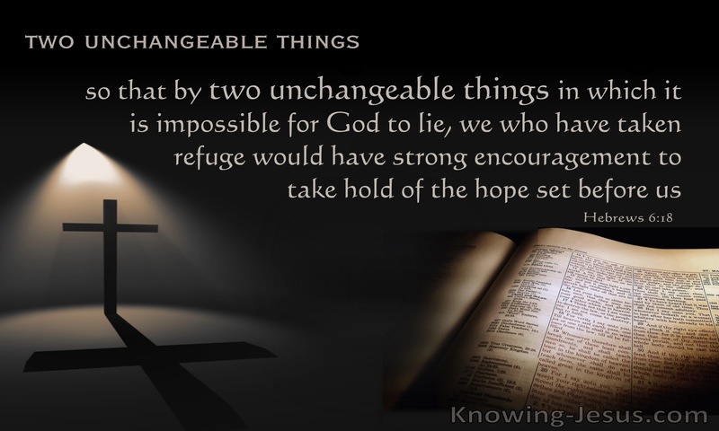 Hebrews 6:18  Two Unchangable Things (black)